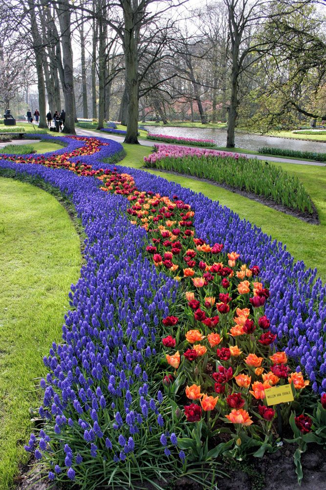 Keukenhof April