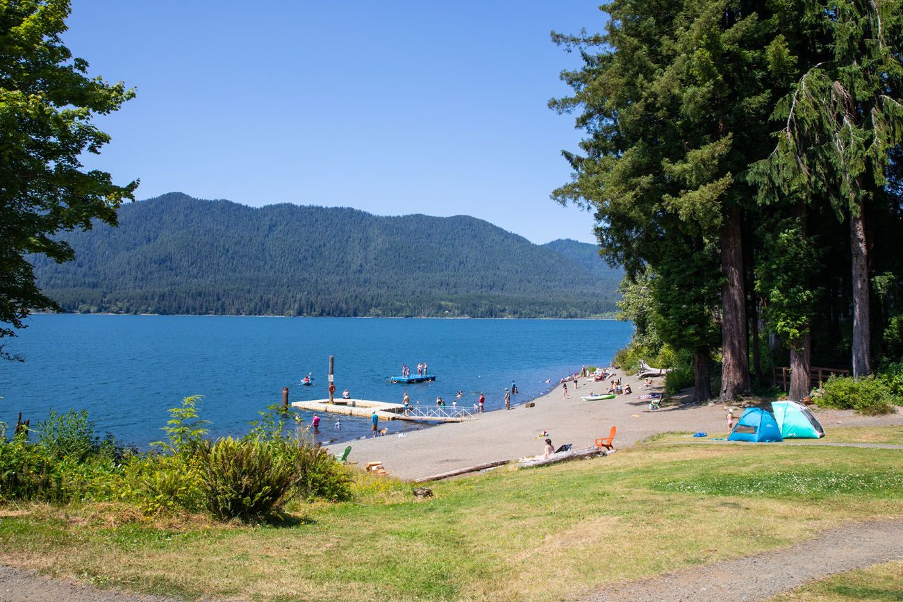 Lake Quinault things to do in Olympic National Park