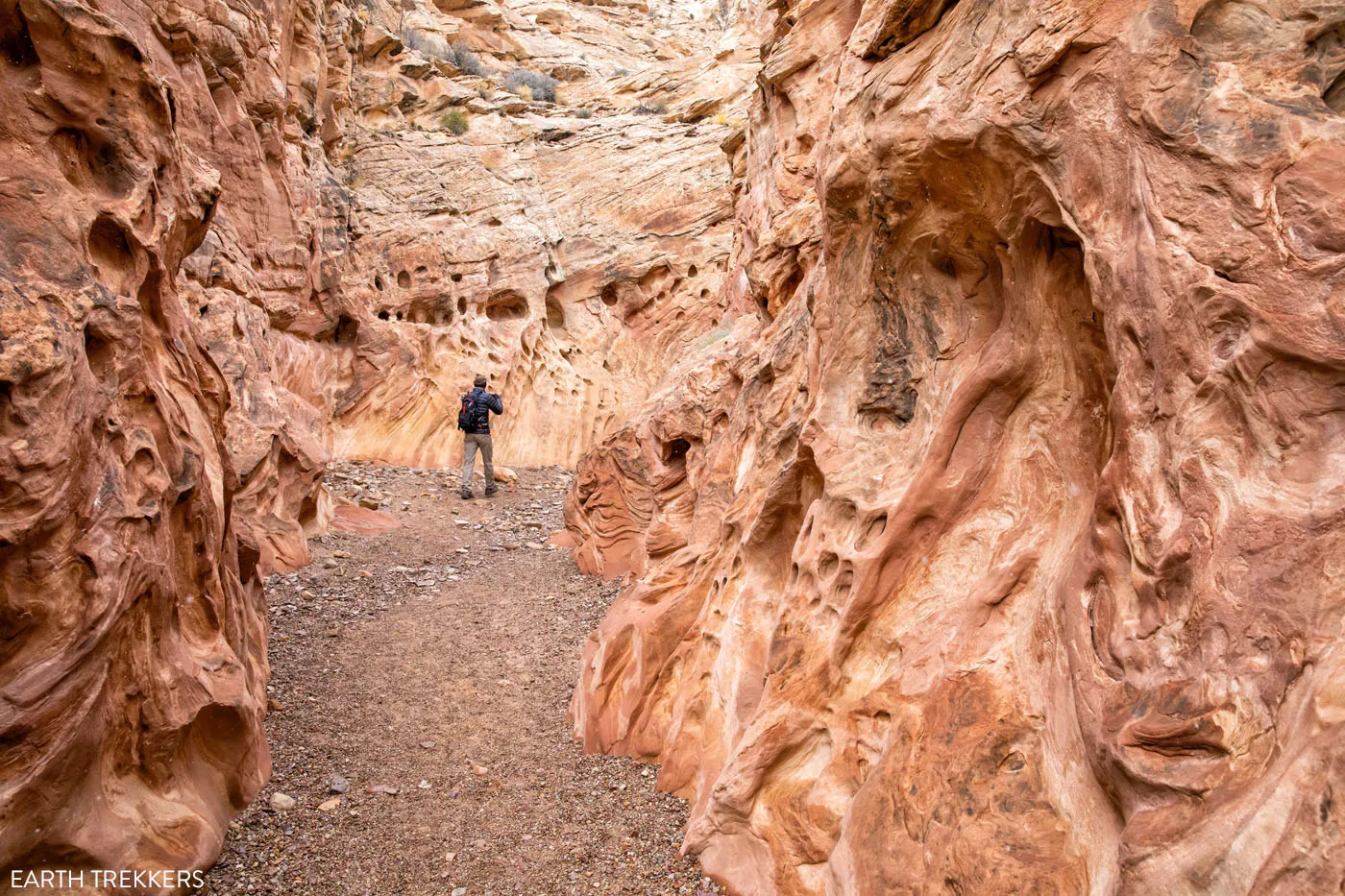 Little Wild Horse Canyon American Southwest road trip