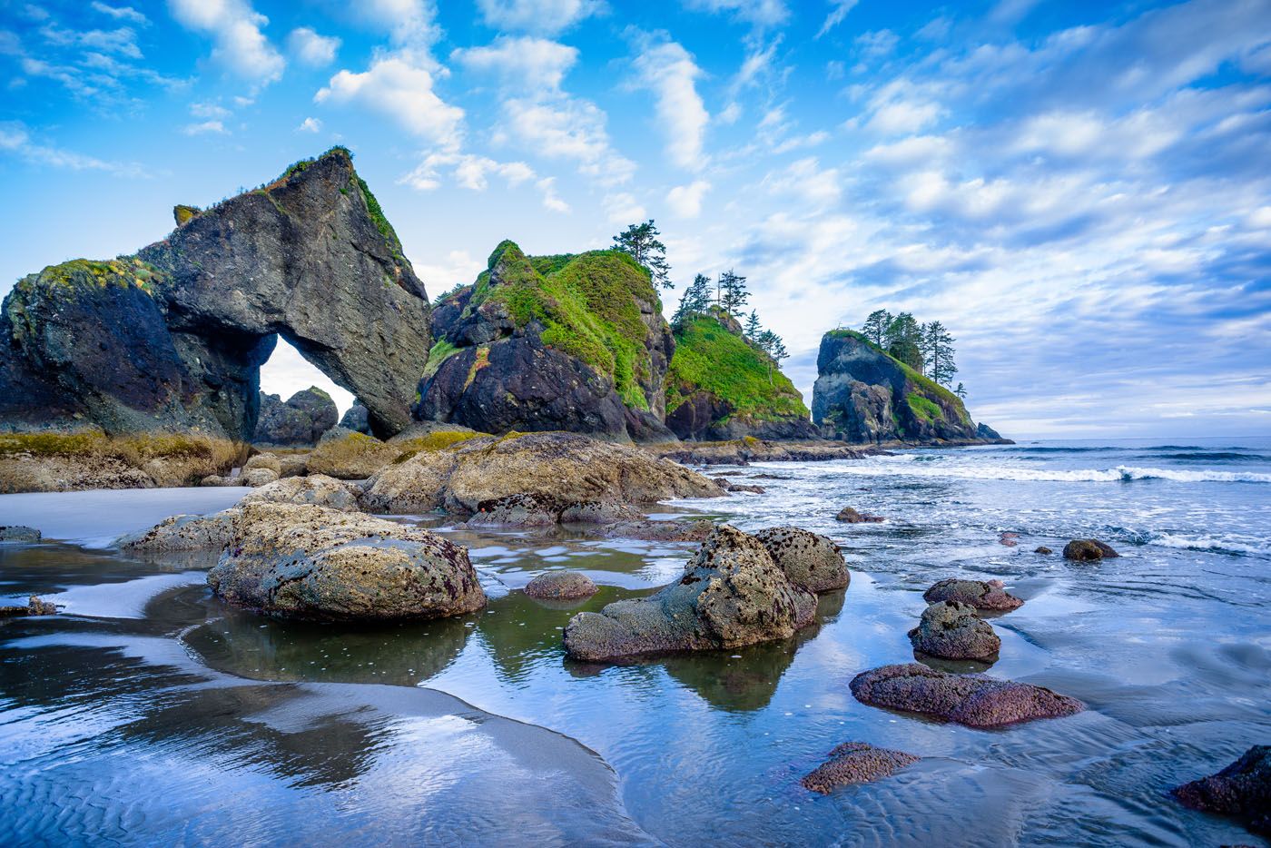 Shi Shi Beach hikes in Olympic National Park