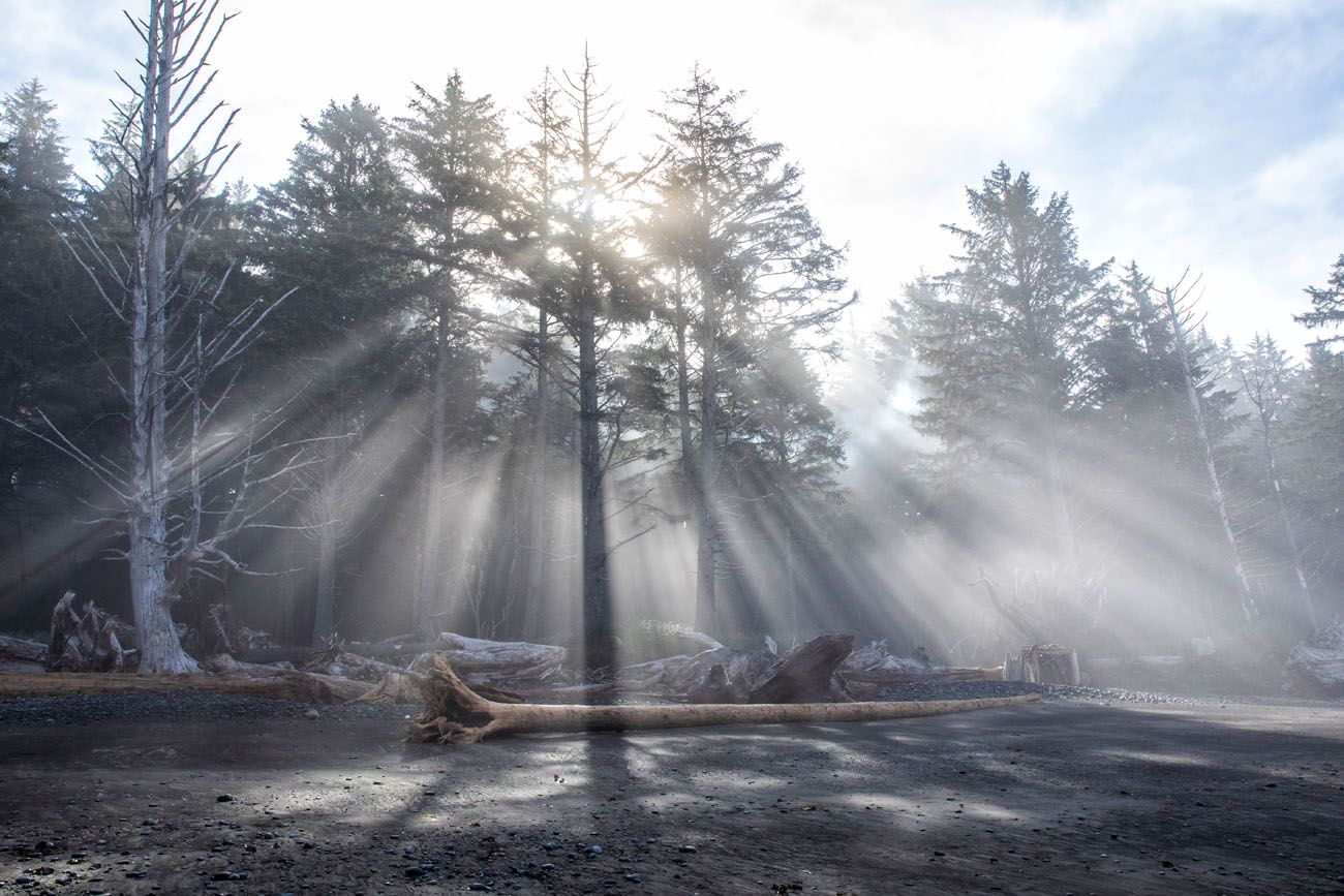 Rialto Beach things to do in Olympic National Park