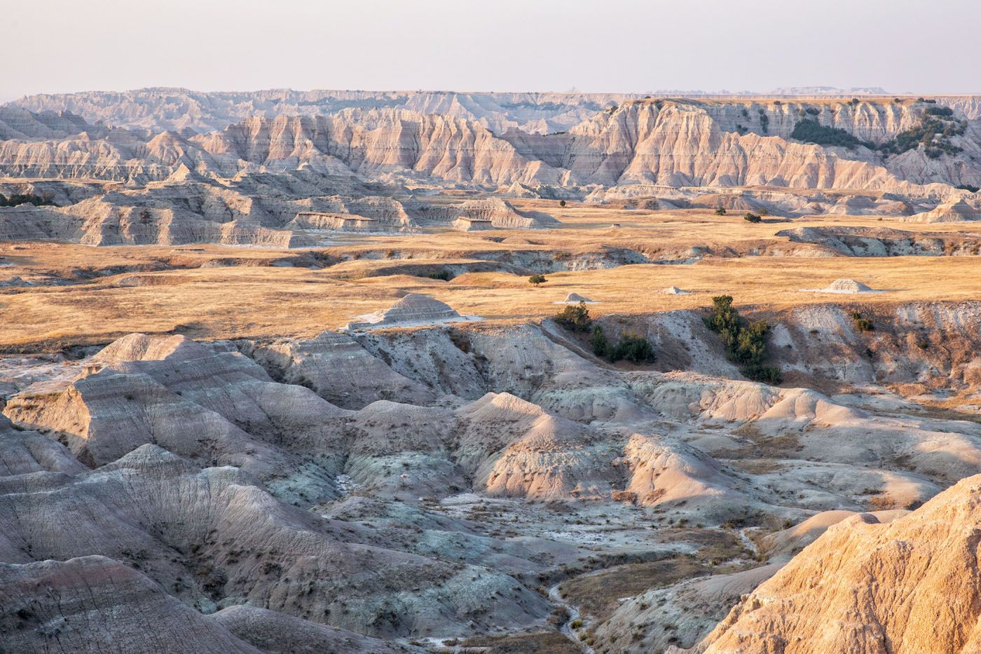 Sage Creek Road View