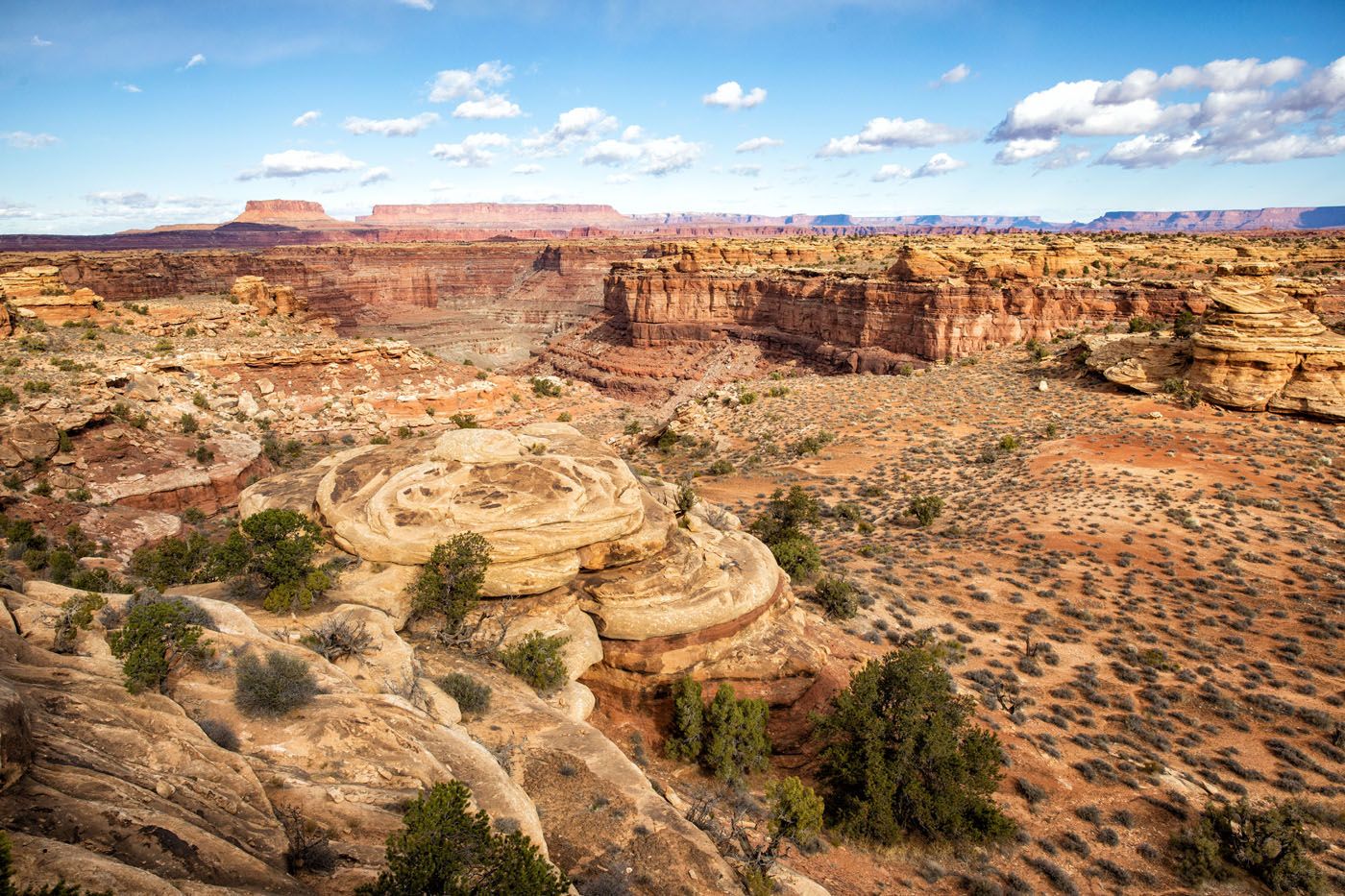 Slickrock Trail View