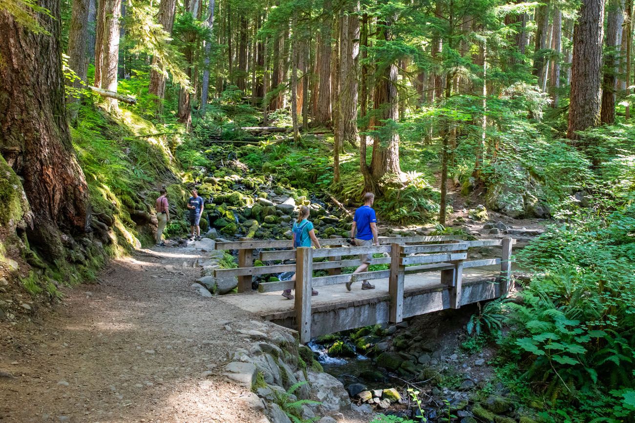 Sol Duc Falls Hike