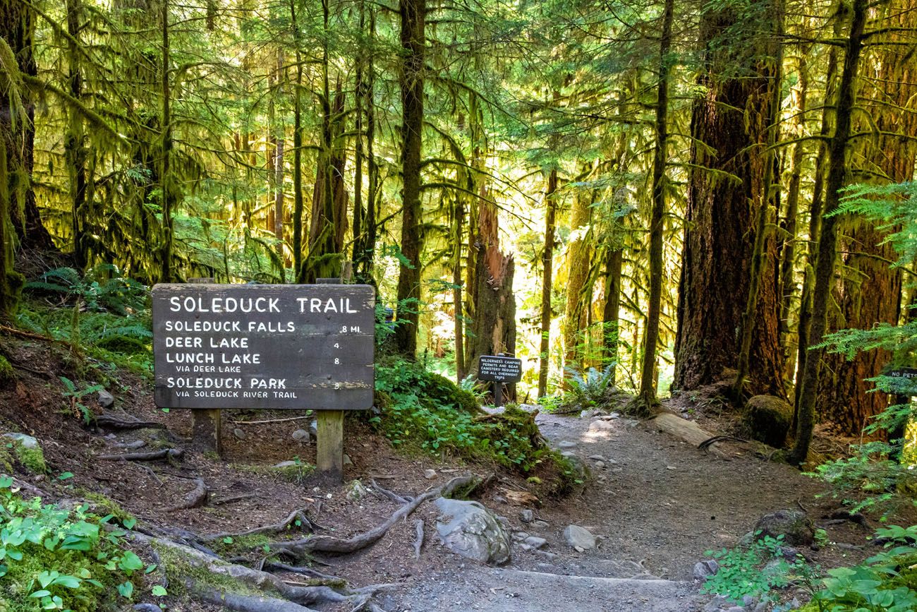 Sol Duc Falls Trail