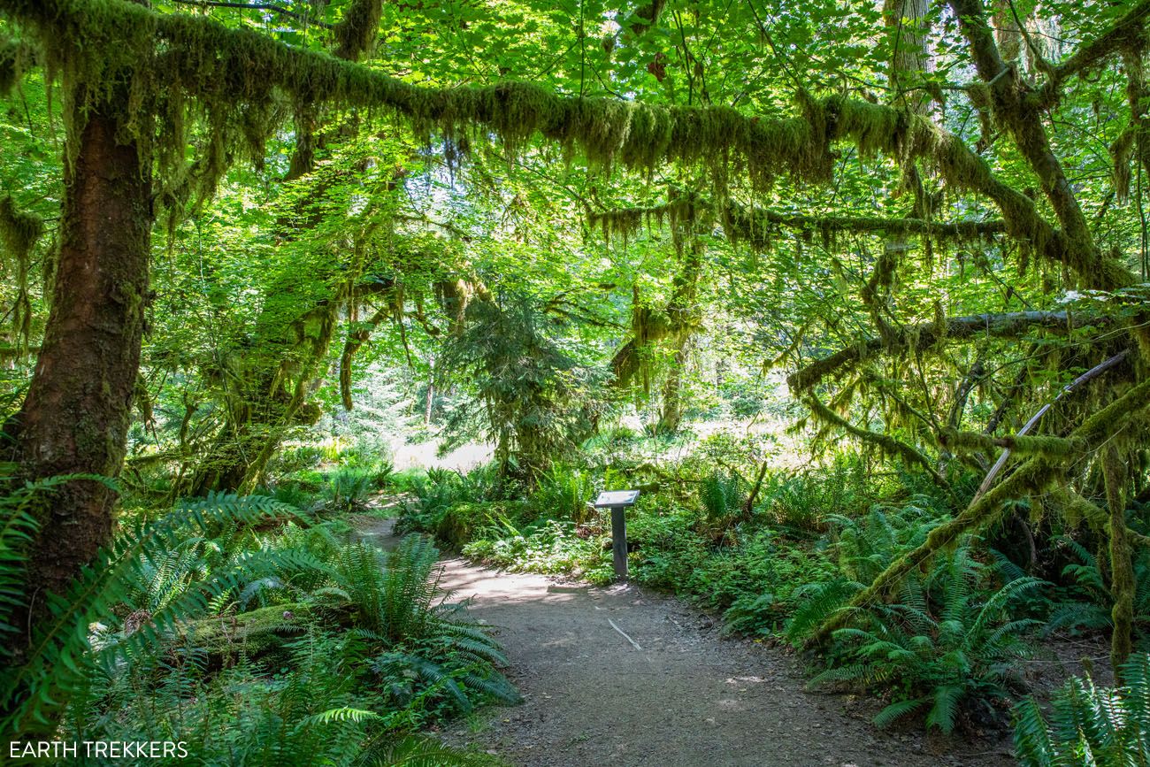 Spruce Nature Trail