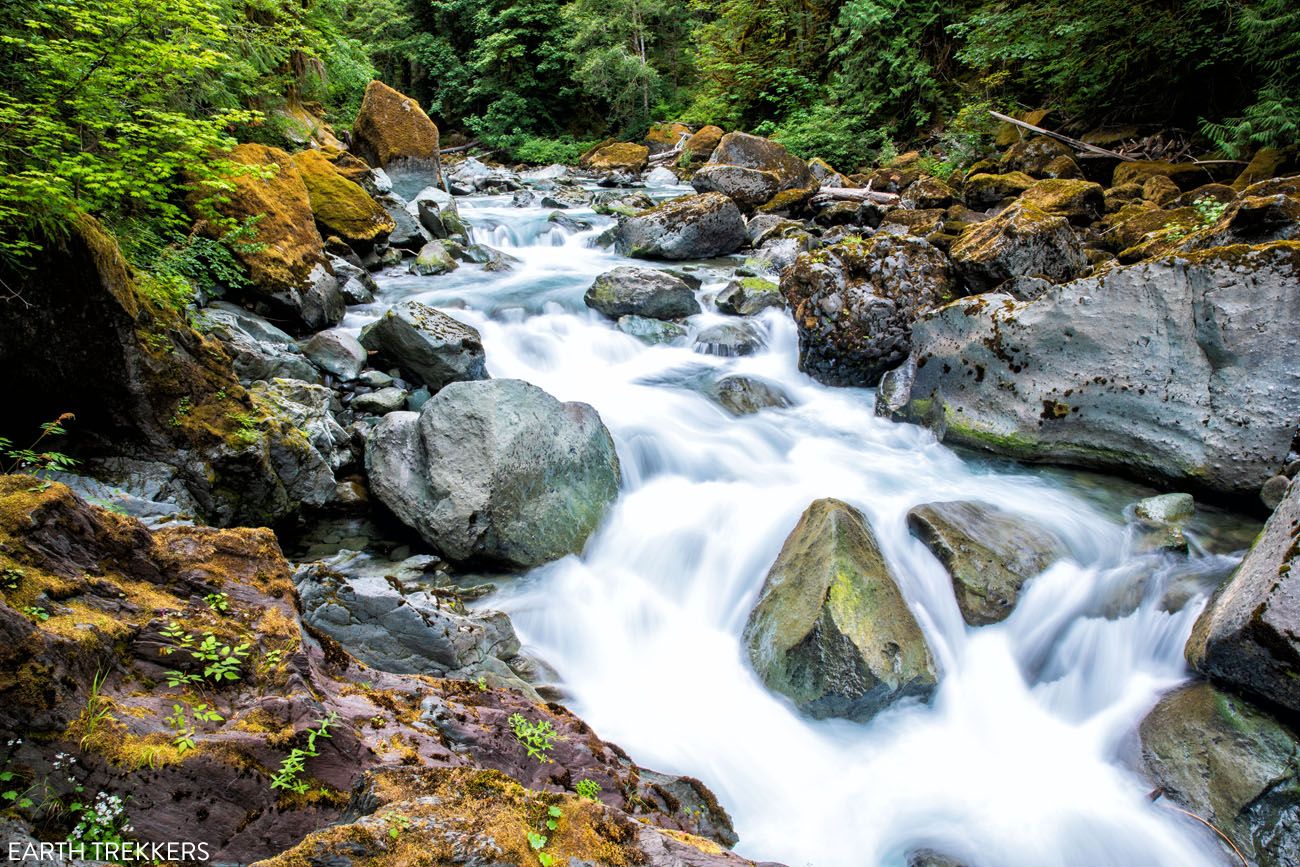 Staircase Rapids things to do in Olympic National Park