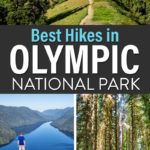 Best Hikes Olympic National Park Guide