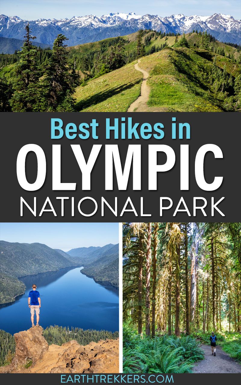Best Hikes Olympic National Park Guide