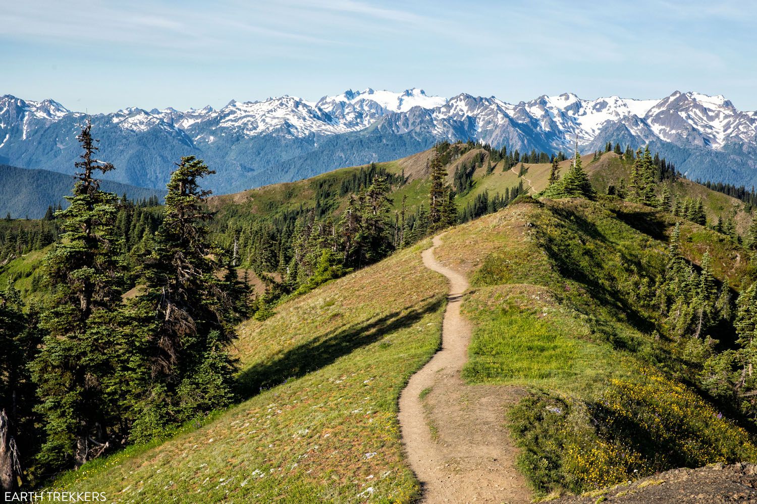 Best Hikes in Olympic National Park photo