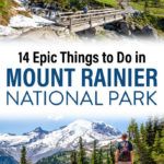 Best of Mount Rainier Travel Guide