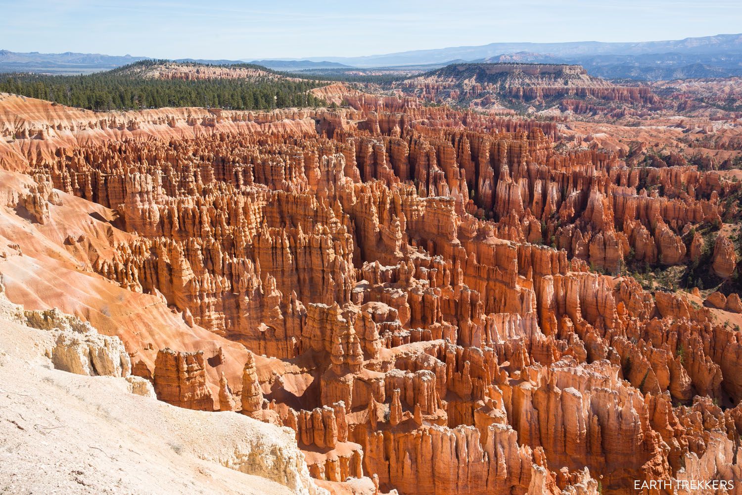 Bryce Canyon Hoodoos