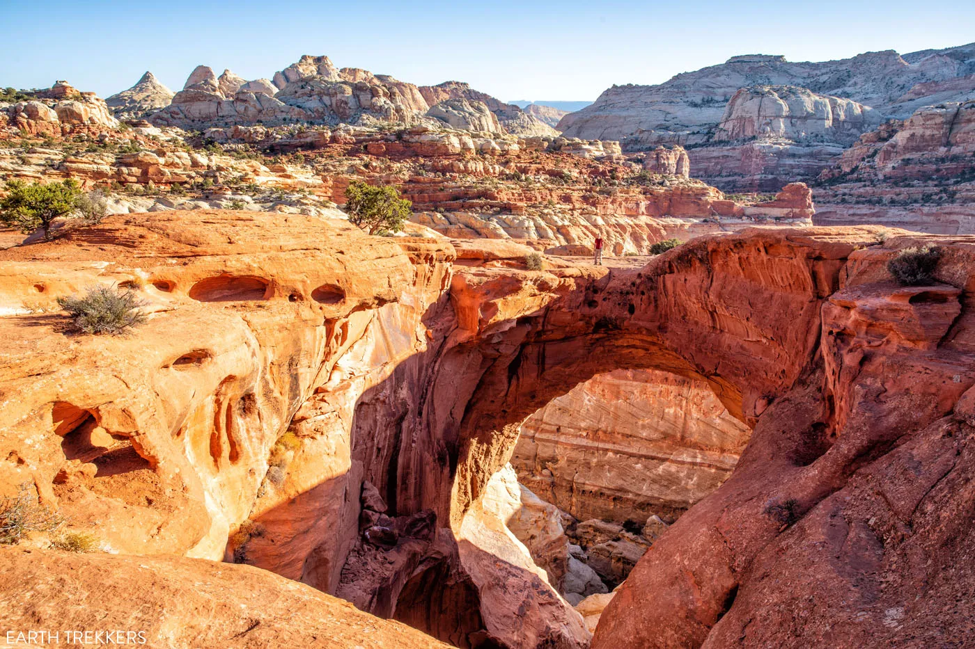 Best day hikes in capitol reef national park sale