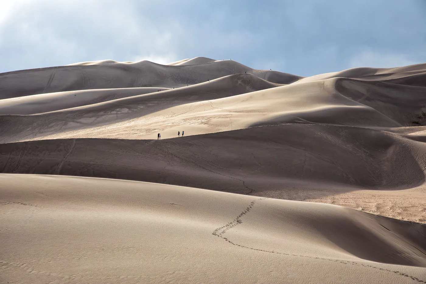 Dunes in the Evening