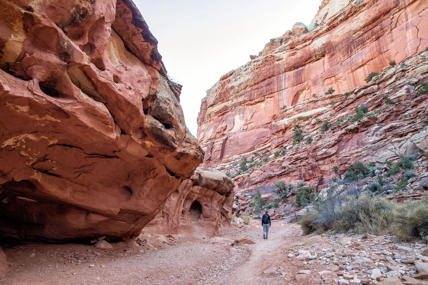 Grand Wash to Cassidy Arch