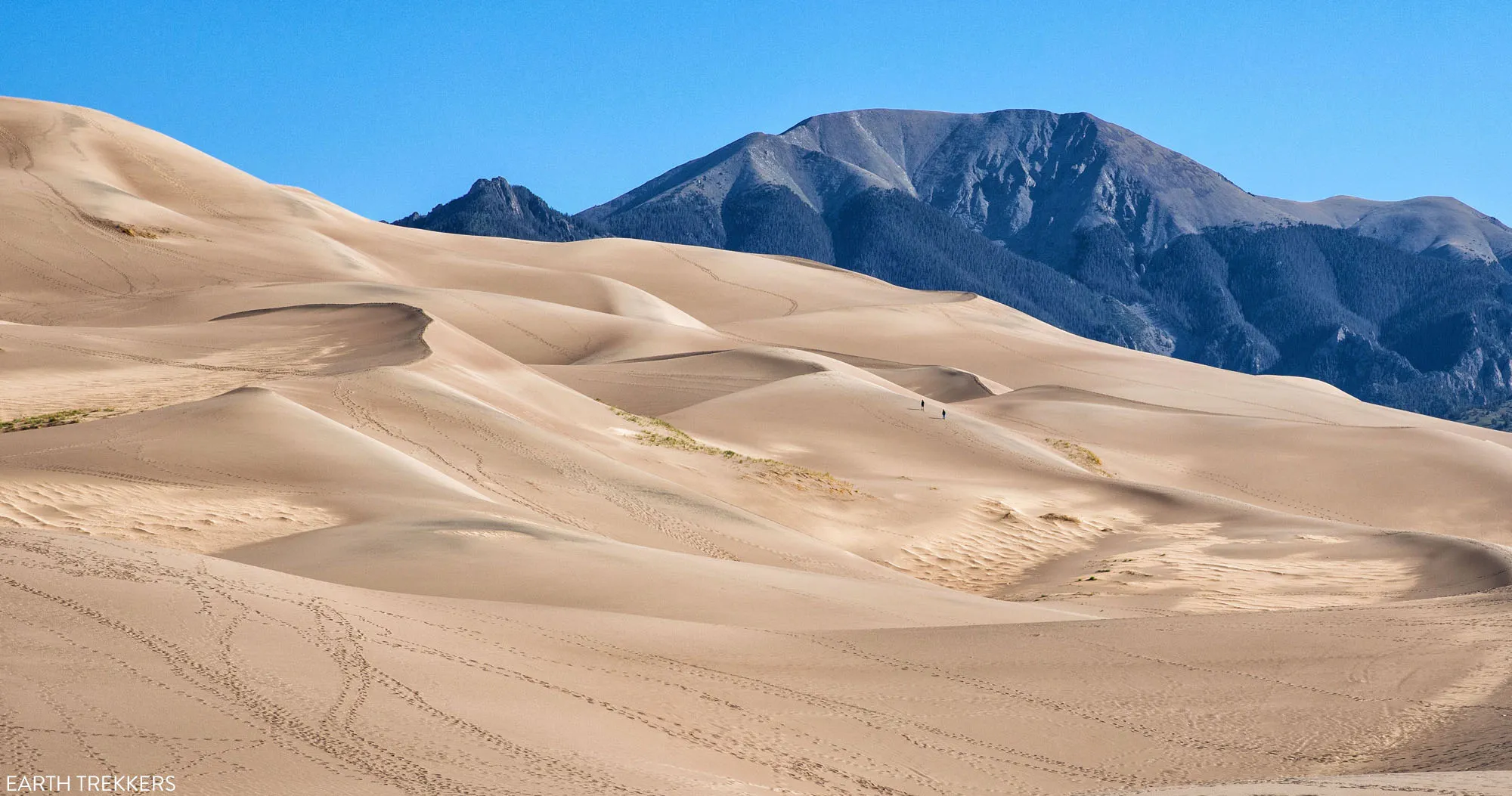 8 Amazing Things to Do at Great Sand Dunes National Park – Earth