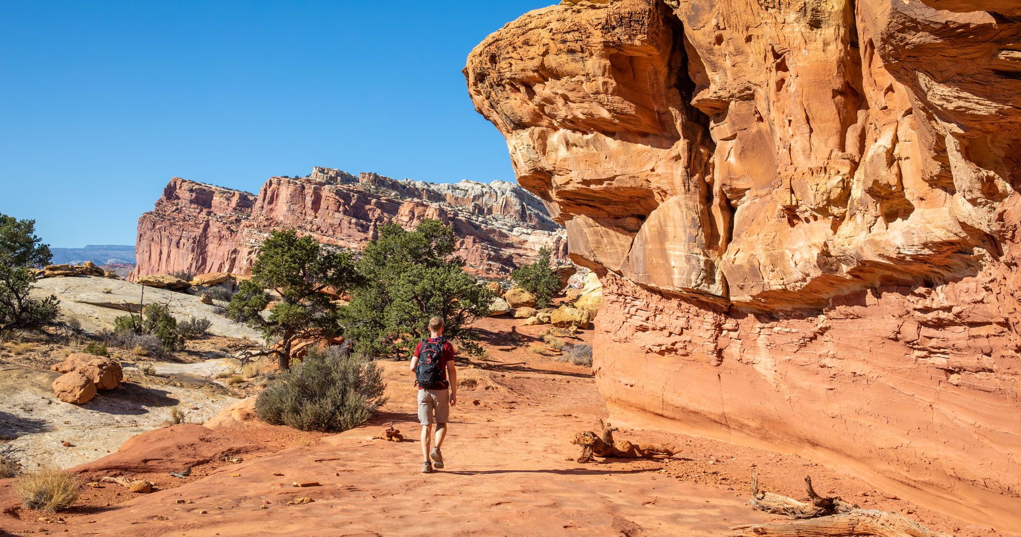 Featured image for “16 Epic Day Hikes in Capitol Reef National Park”