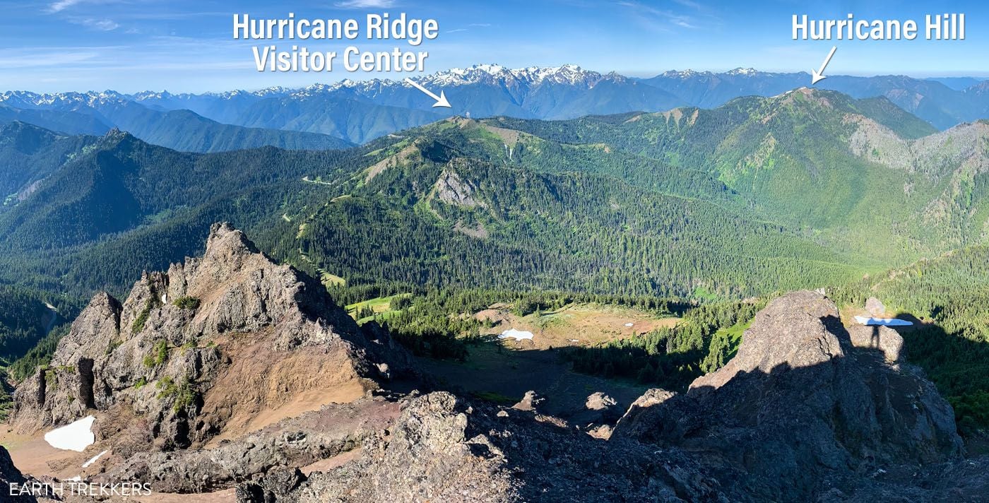 Hurricane Ridge Photo