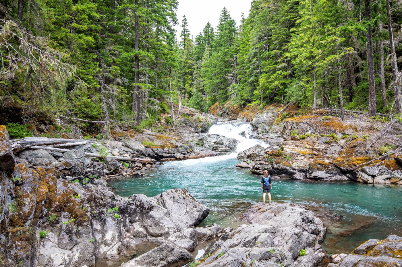 Kara in Mount Rainier