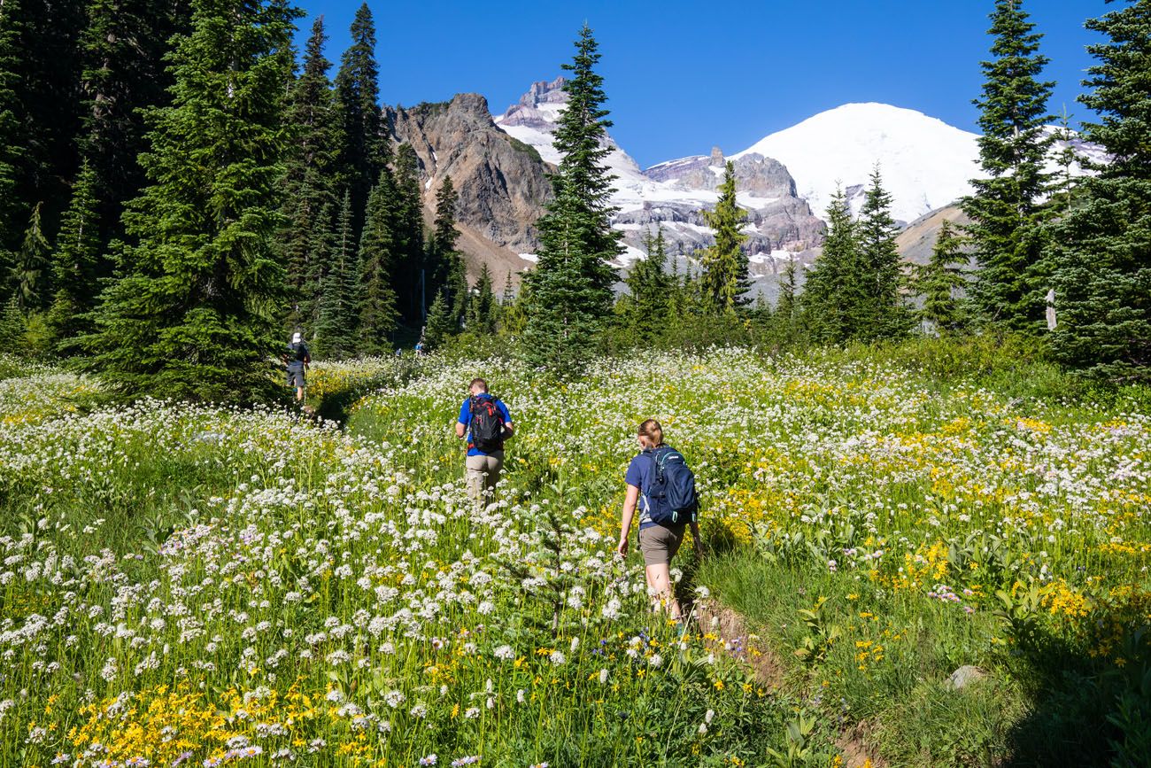 Mount Rainier in summer best things to do in Mount Rainier