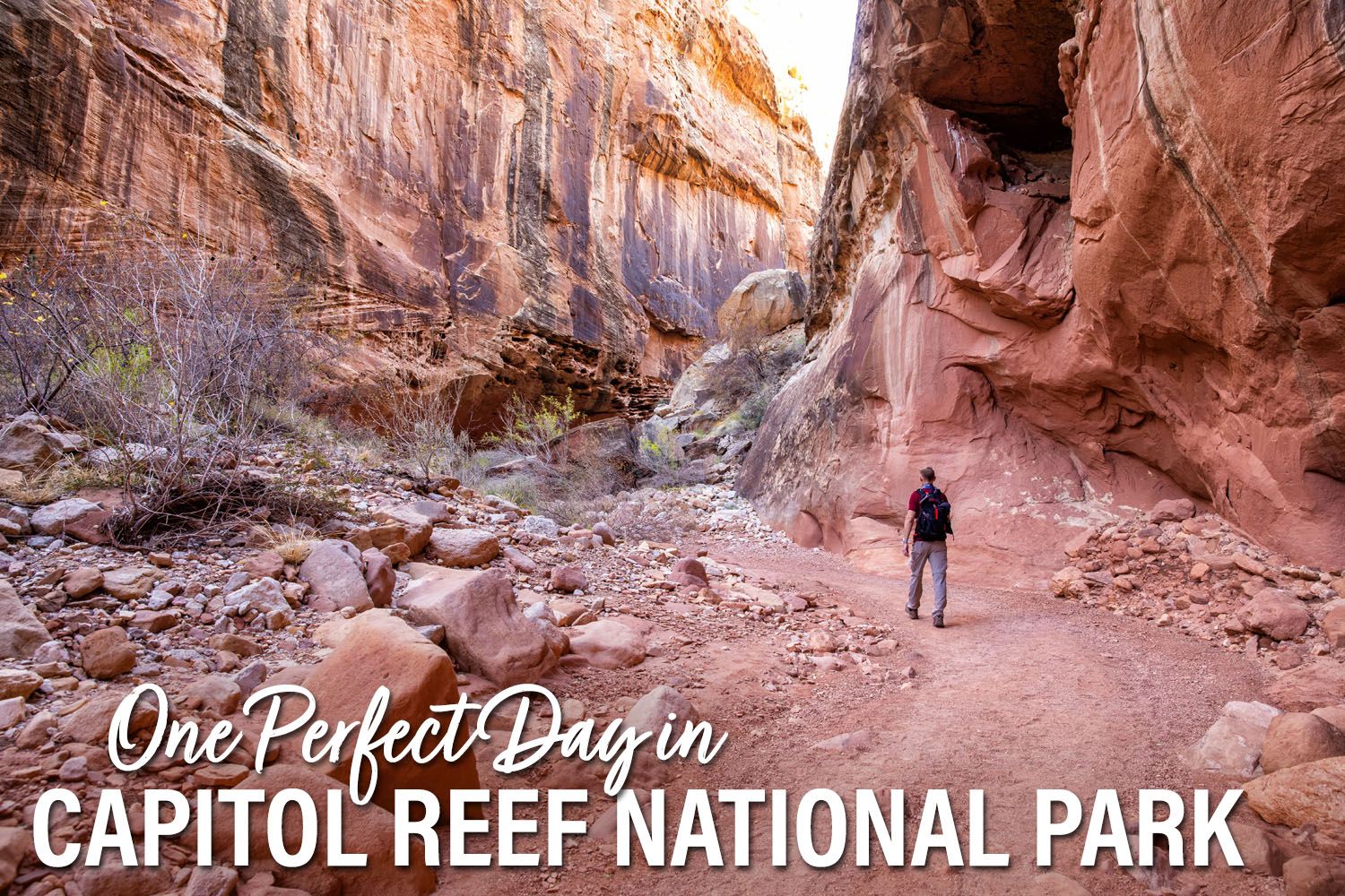 One Day in Capitol Reef