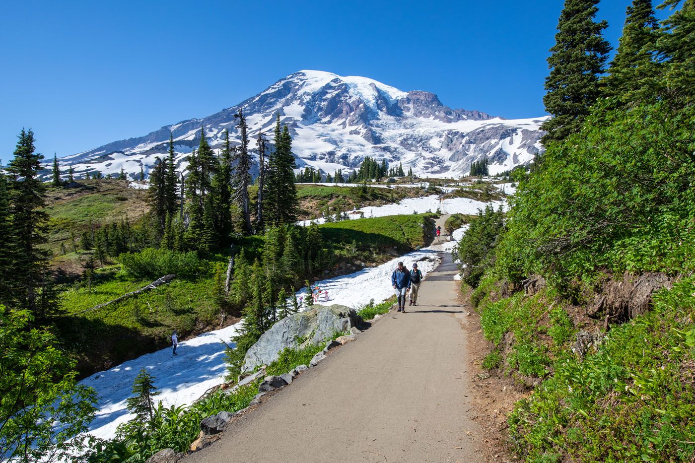 Paradise Hiking Trail | Best things to do in Mount Rainier