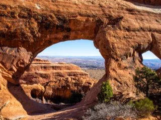 Partition Arch