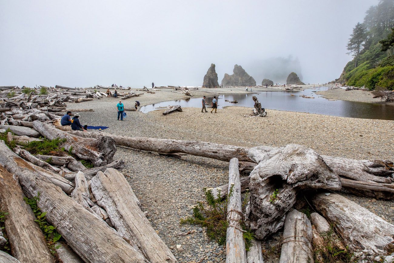 Ruby Beach with Fog