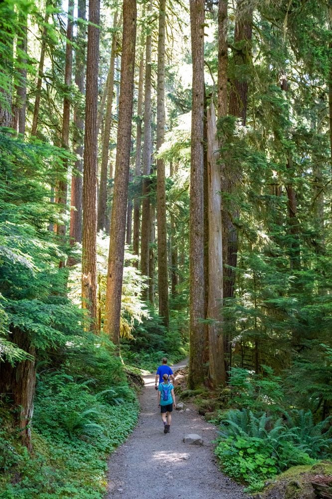 Sol Duc Falls Trail