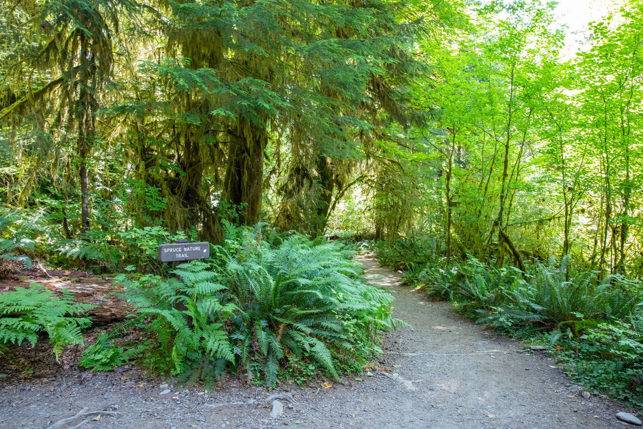 Spruce Nature Trail