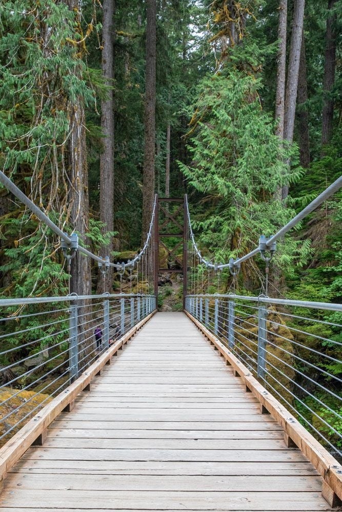 Staircase Rapids Bridge hikes in Olympic National Park