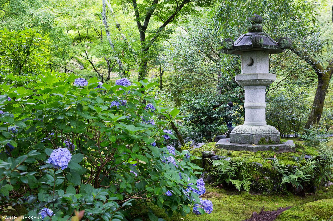 Tenryuji Temple Garden best things to do in Kyoto