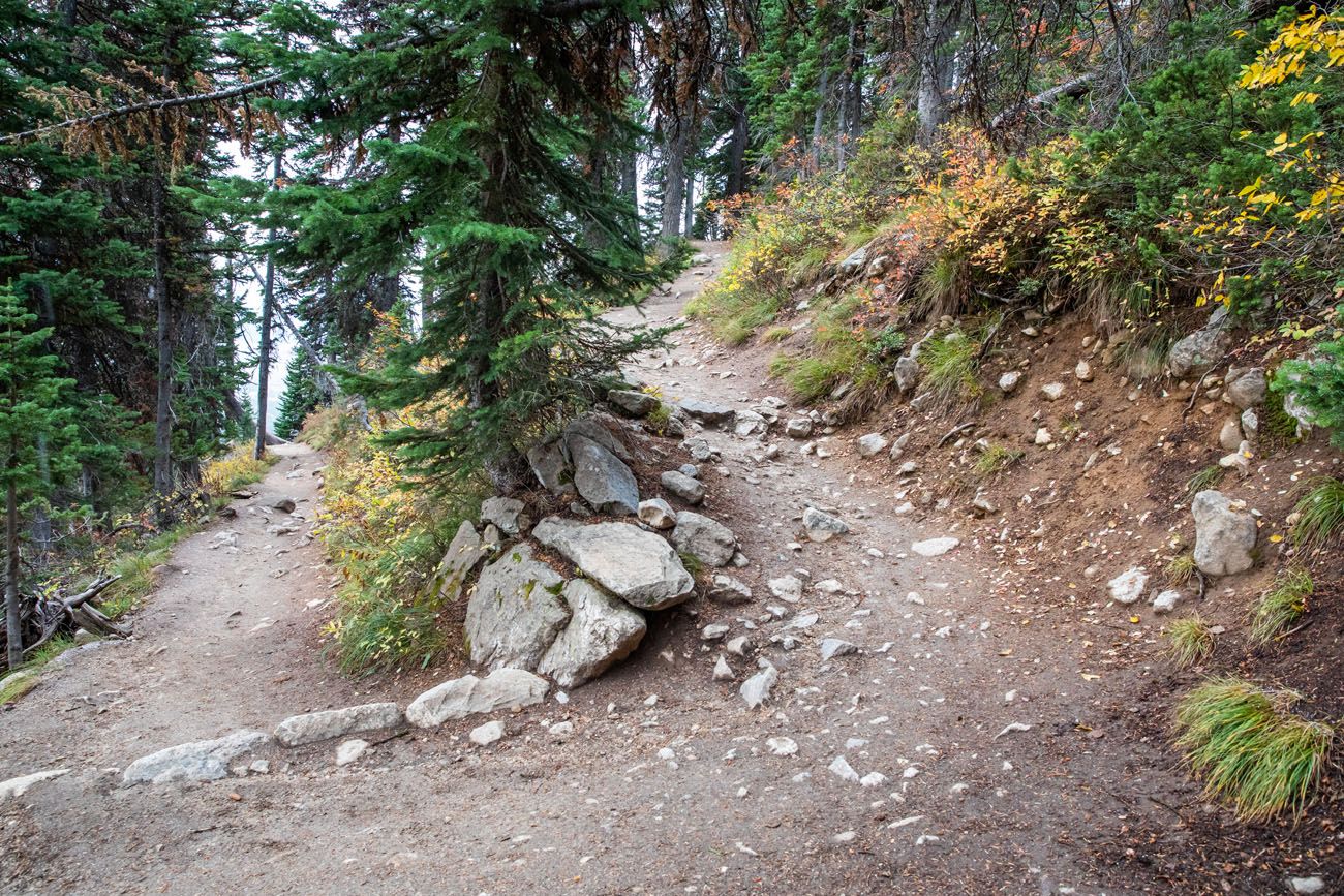 Teton Switchback