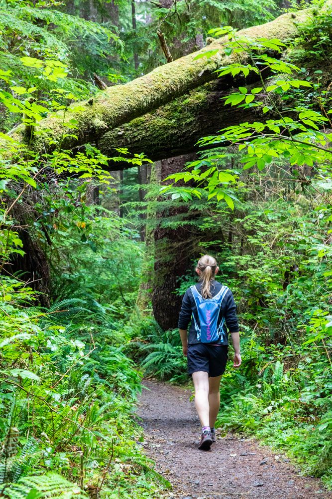 Third Beach Trail