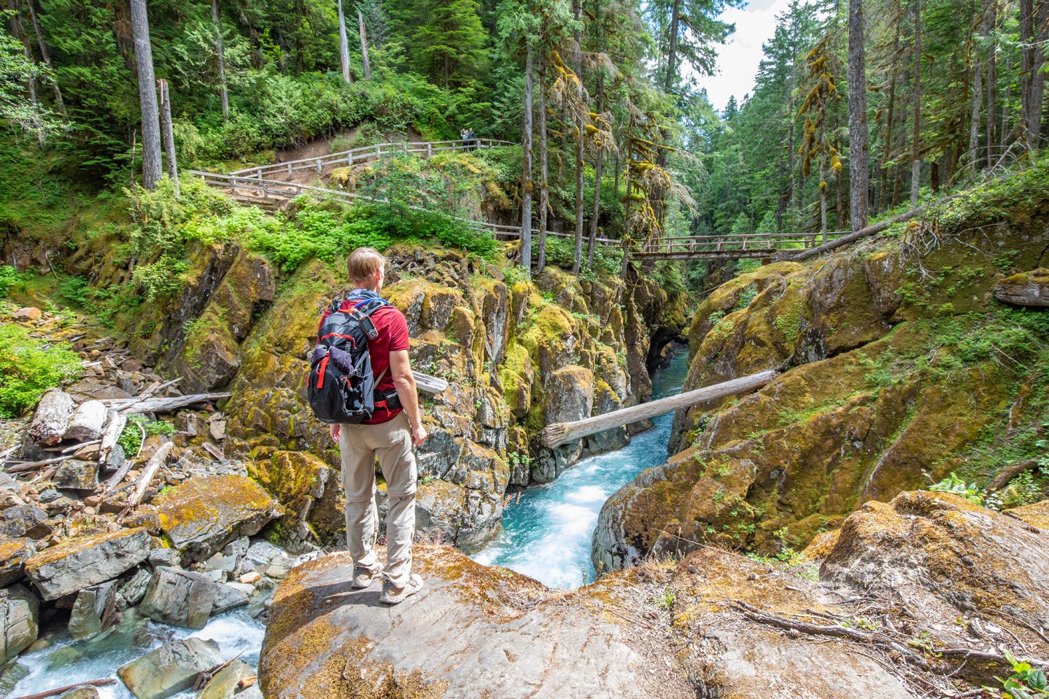 Tim Mount Rainier Hike