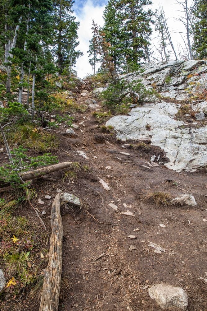 Trail to Delta Lake