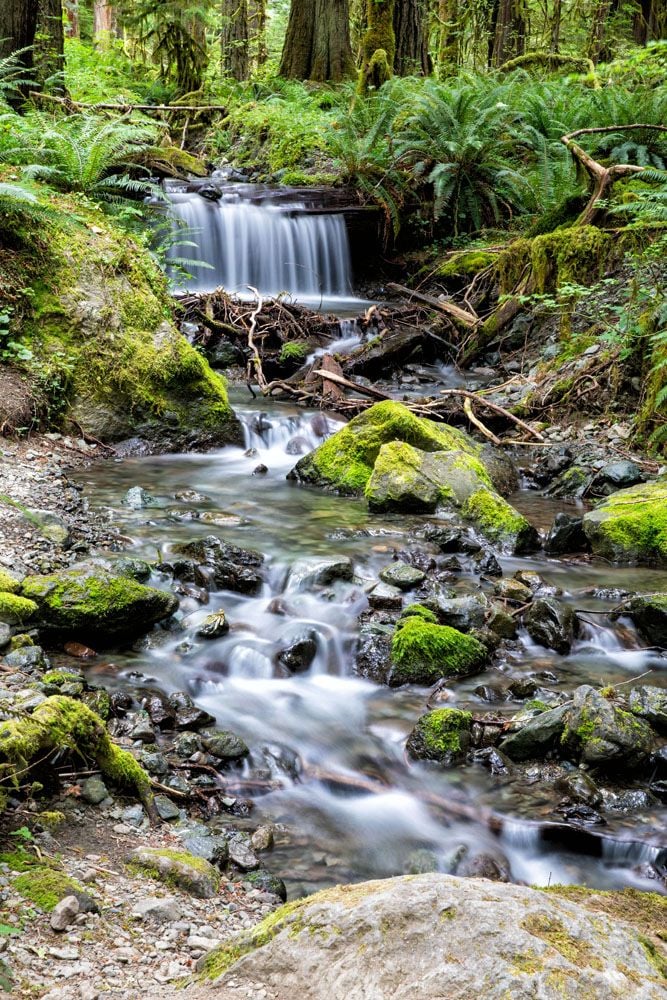 Waterfall hikes in Olympic National Park