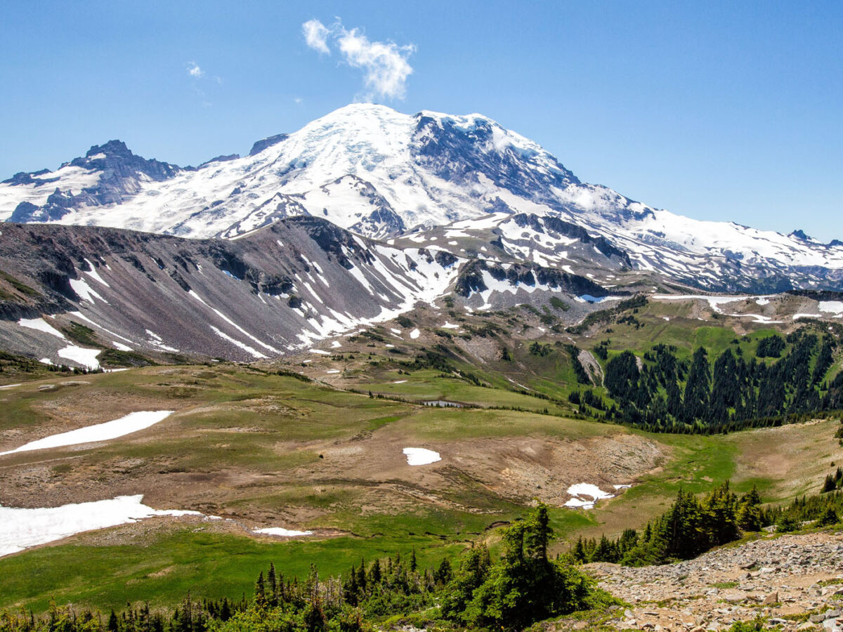 mt rainier day hikes