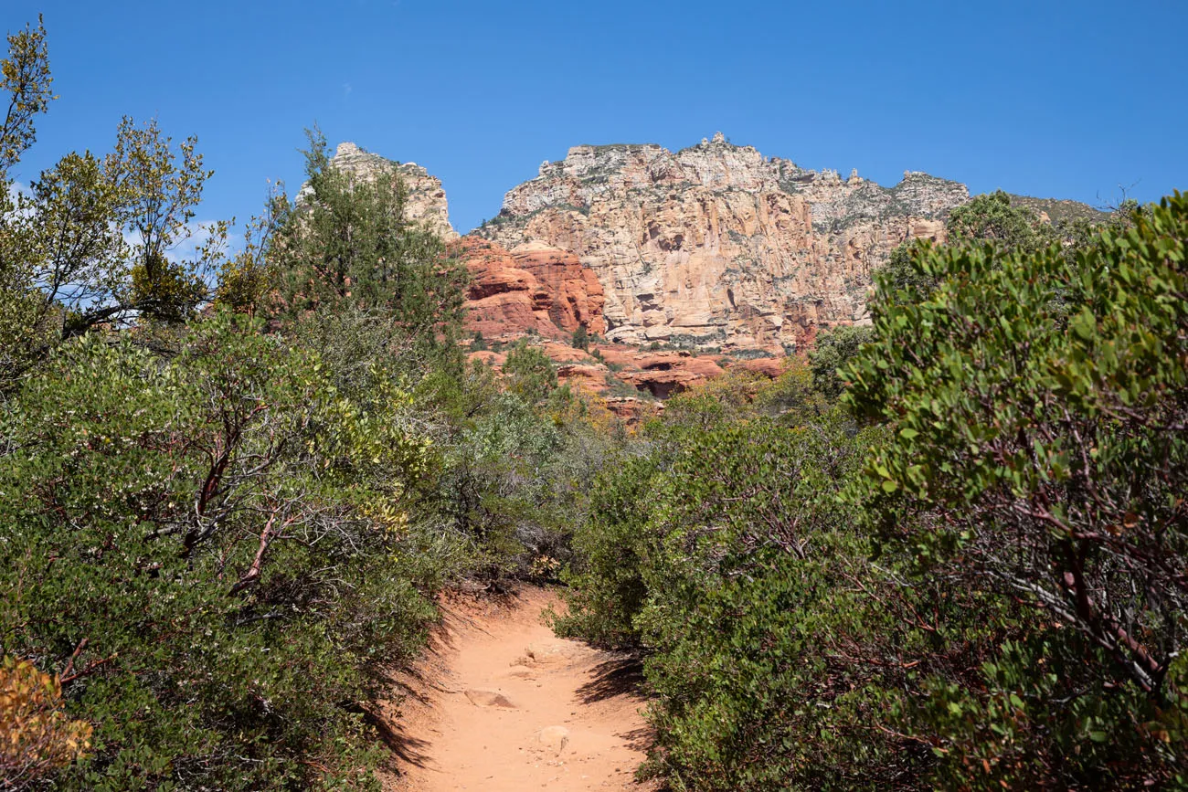 Boynton Canyon Trail Photo