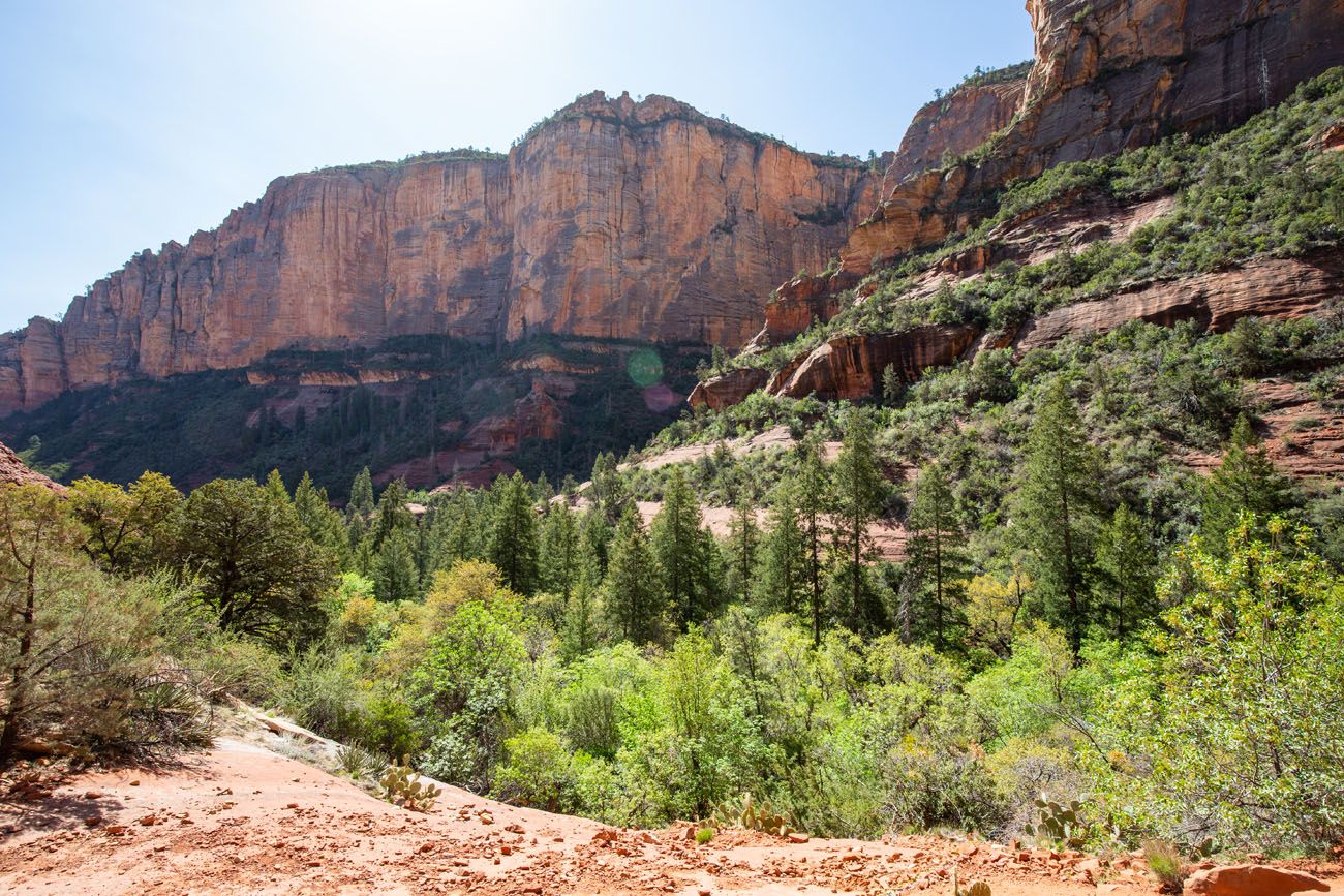 Boynton Canyon View