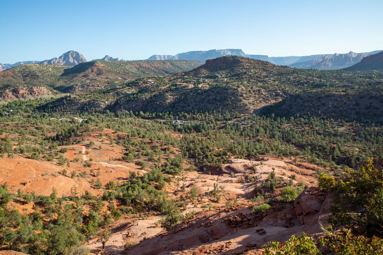 Cathedral Rock View