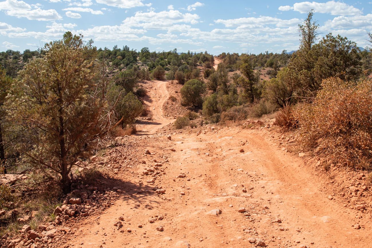 Diamondback Gulch