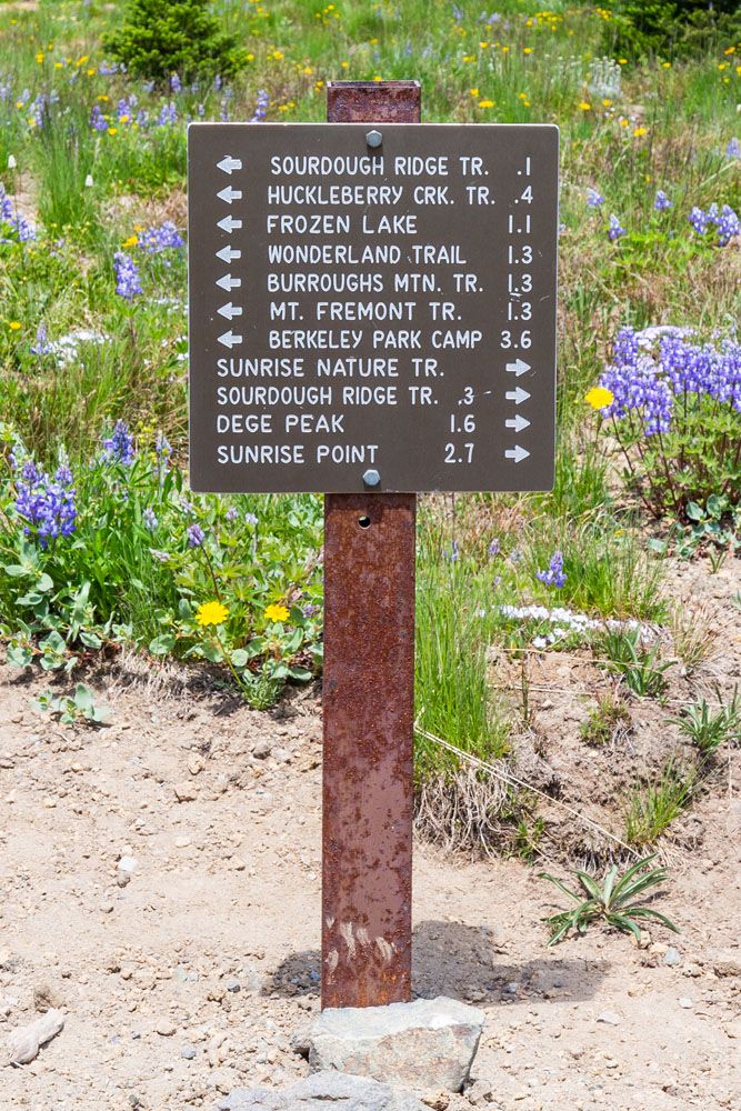 Mount Rainier Hiking Sign