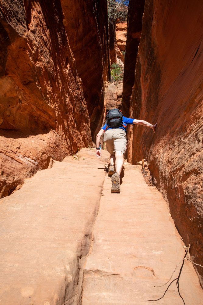 Path into Cave