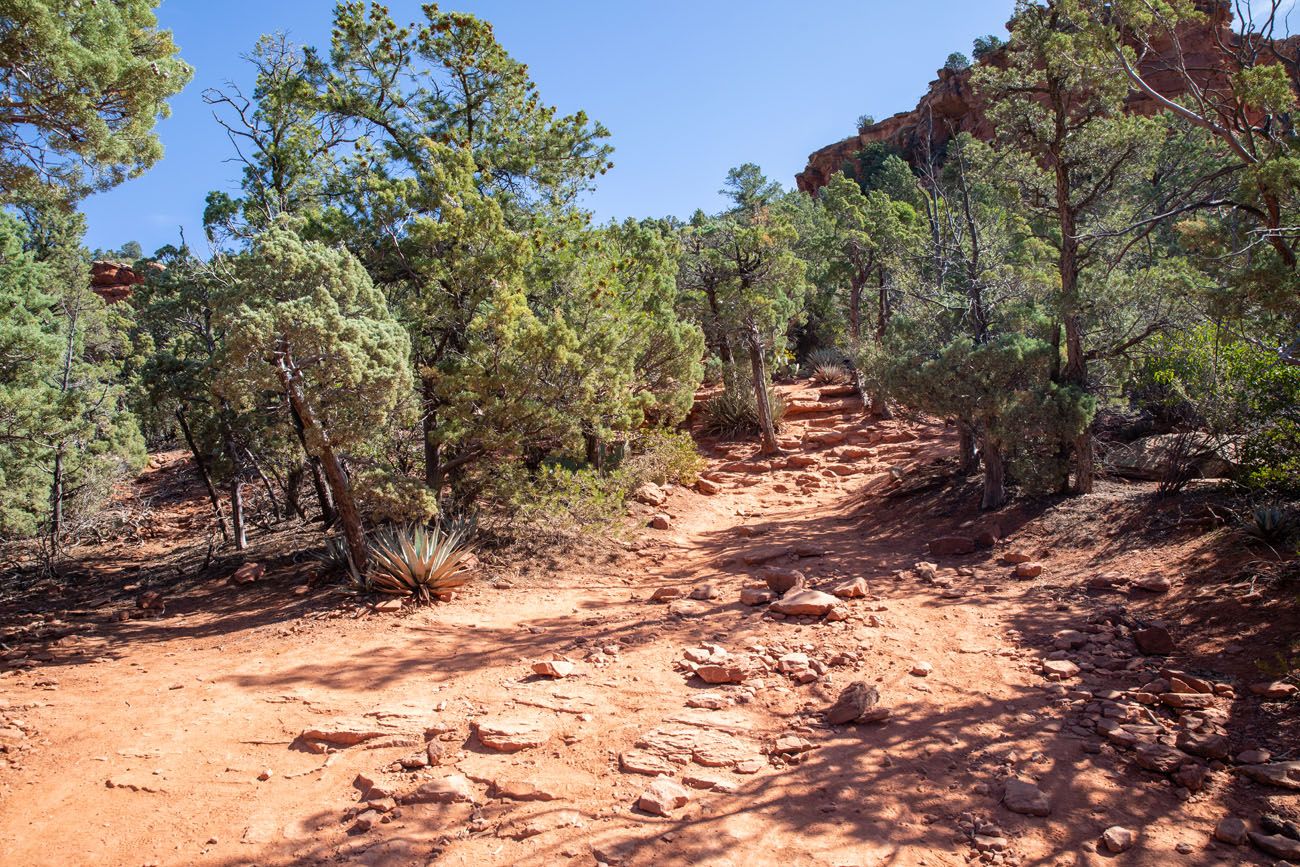 Trail to the Cave