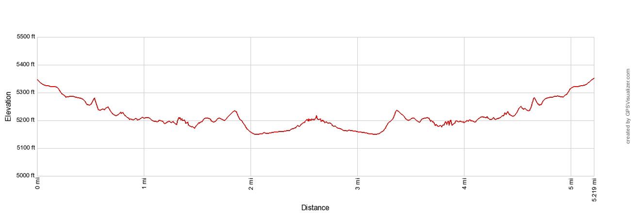 Zebra Slot Elevation Profile