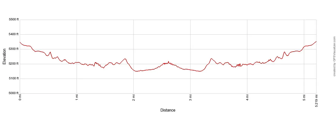 Zebra Slot Elevation Profile