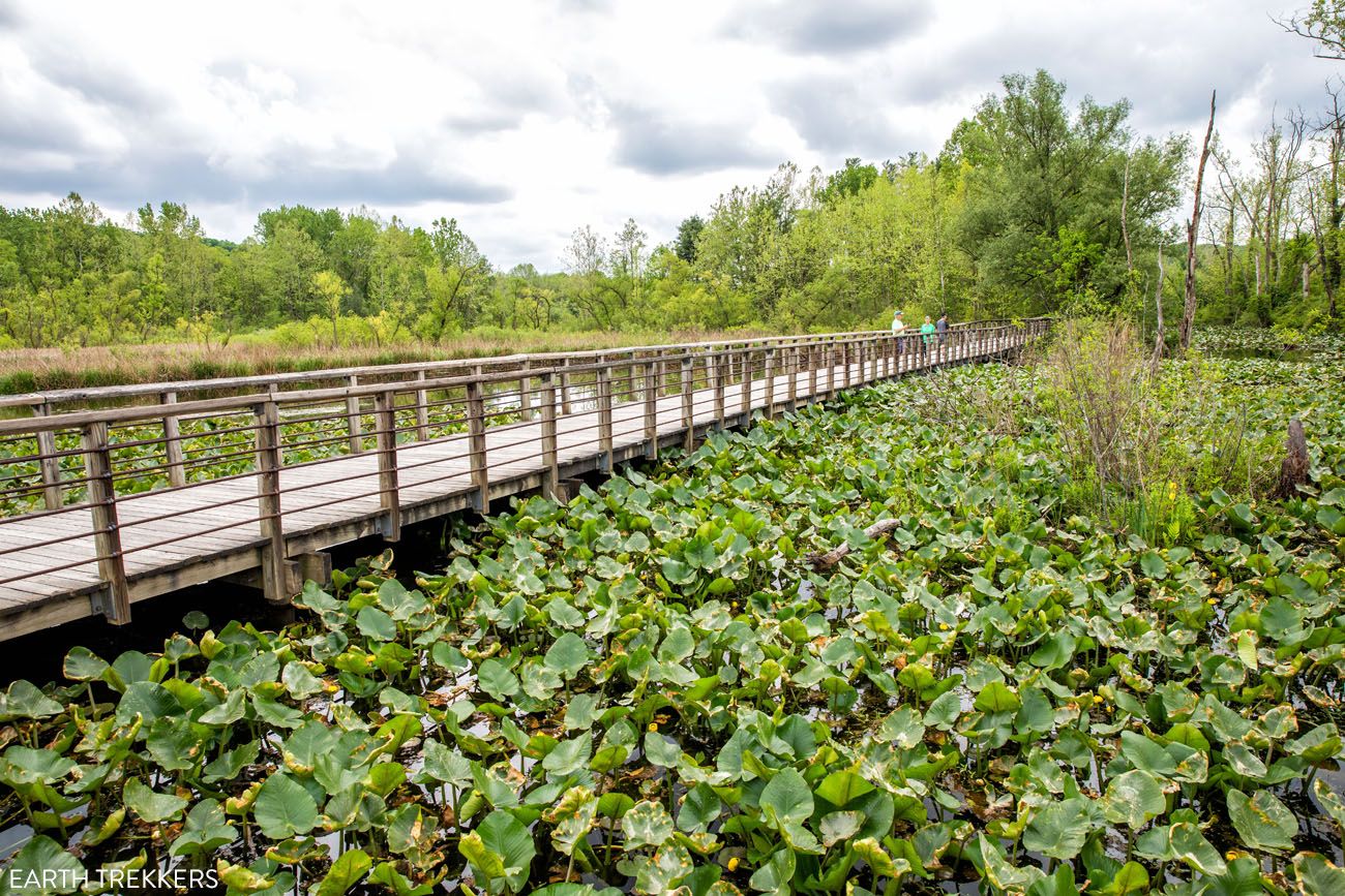 Beaver Marsh things to do in Cuyahoga Valley