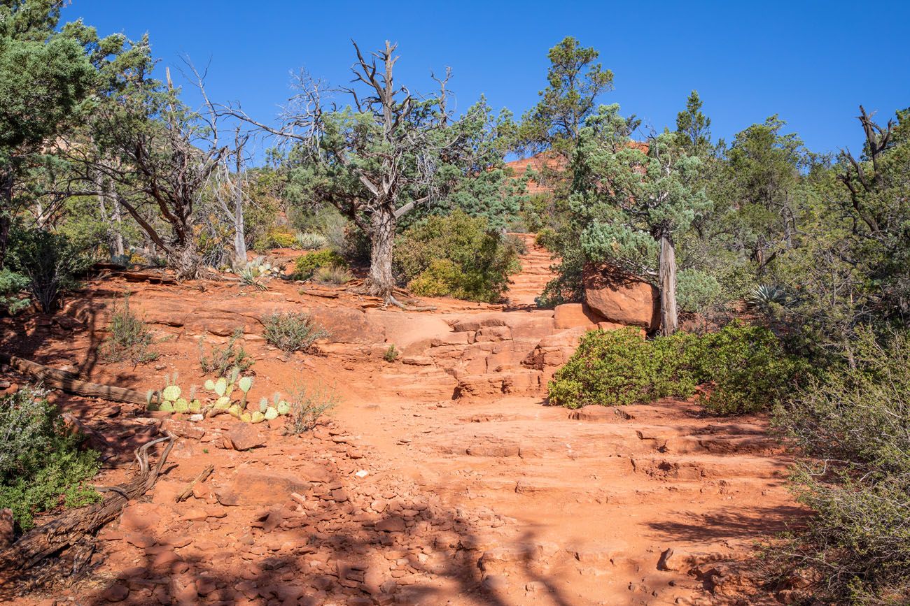 Brins Mesa Trail Stairs Brins Mesa - Soldier Pass Loop