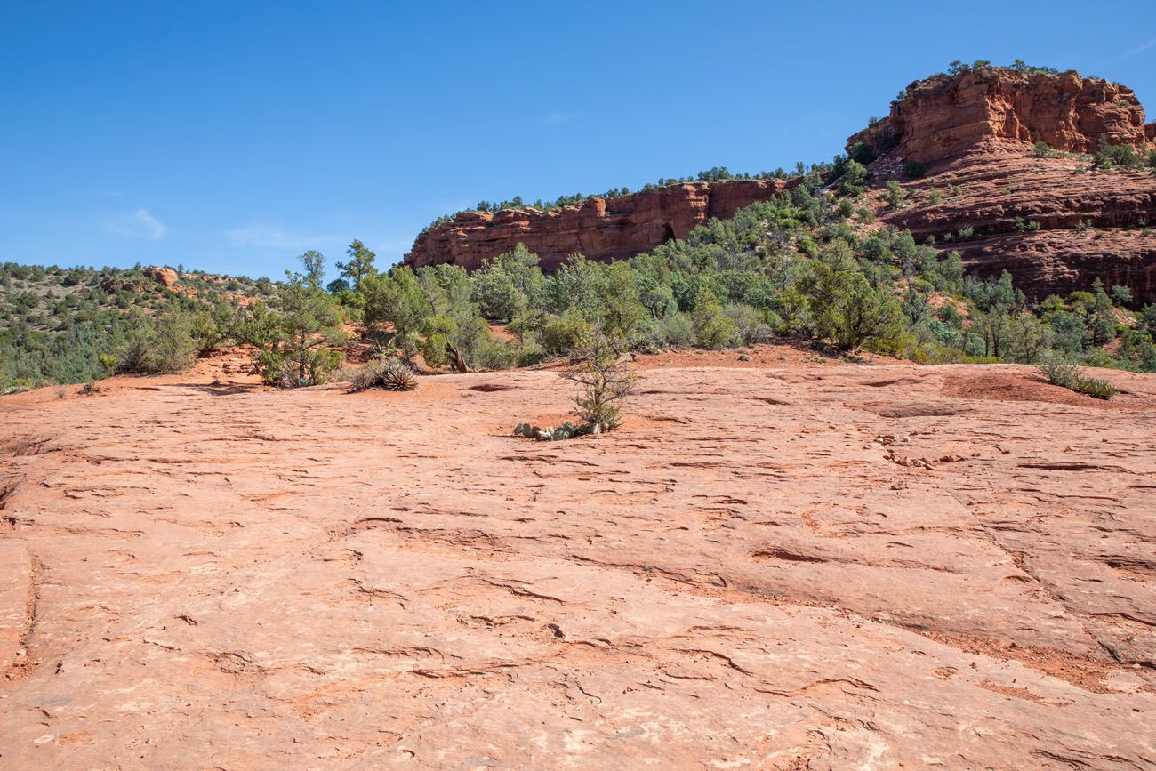 Cave Trail Brins Mesa - Soldier Pass Loop